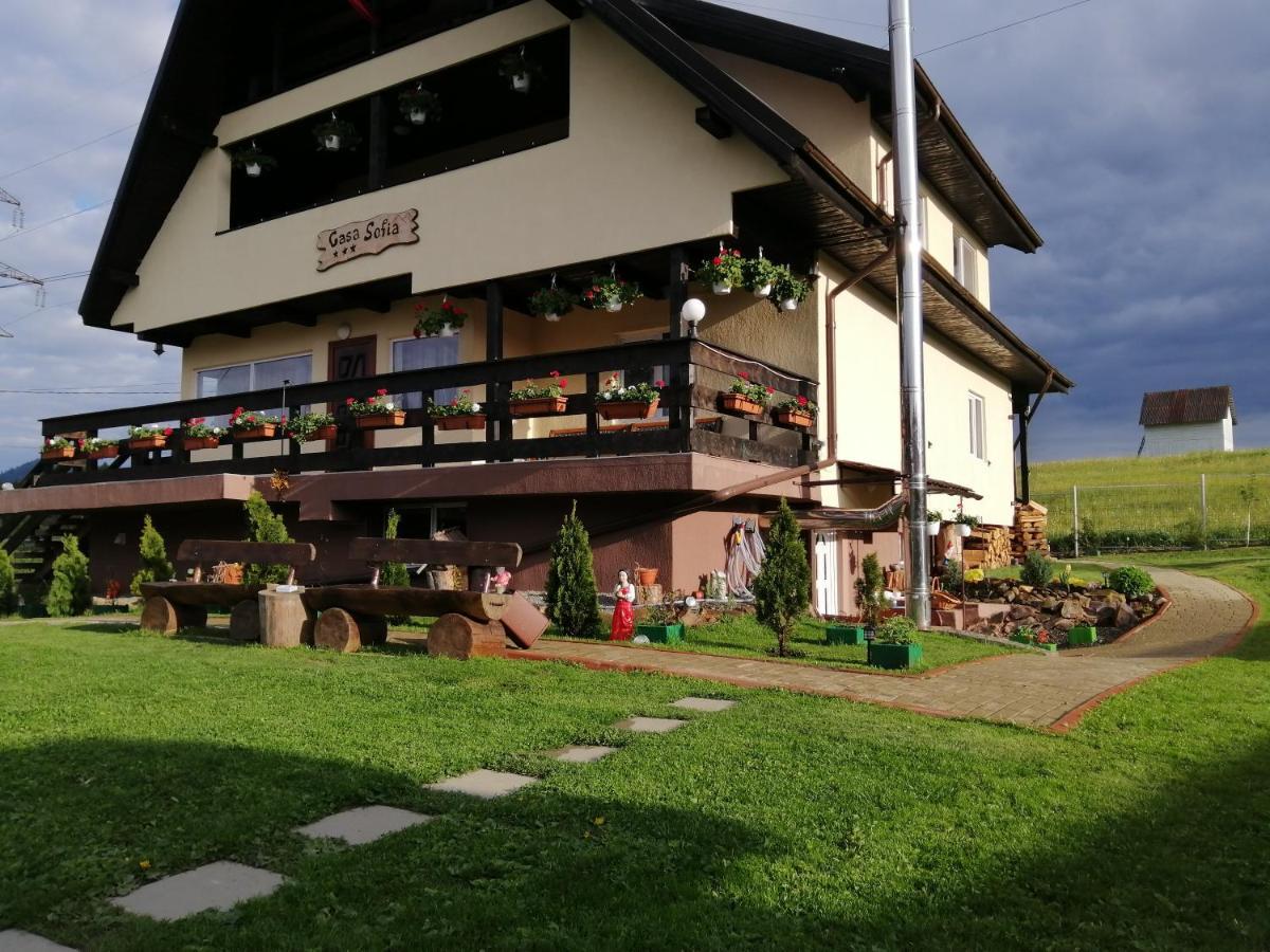 Casa Sofia Dorna Candrenilor Dorna Cindrenilor Exterior foto