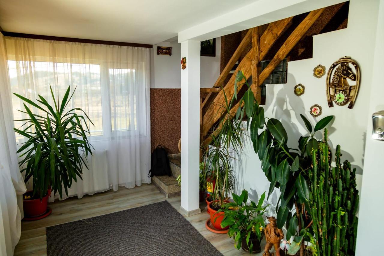 Casa Sofia Dorna Candrenilor Dorna Cindrenilor Exterior foto