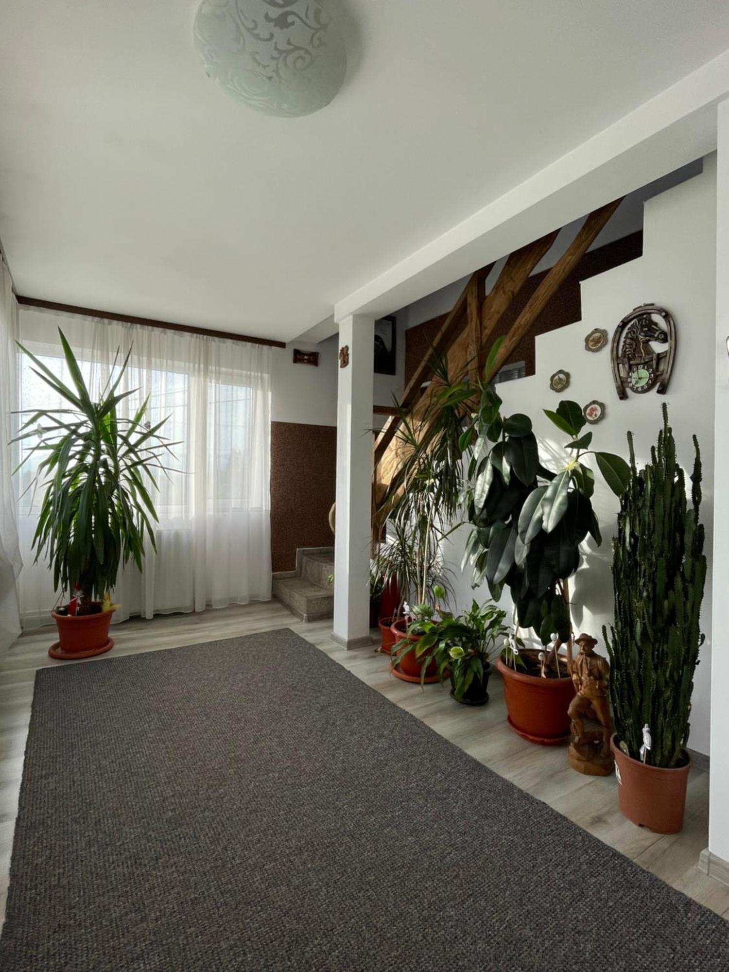 Casa Sofia Dorna Candrenilor Dorna Cindrenilor Exterior foto